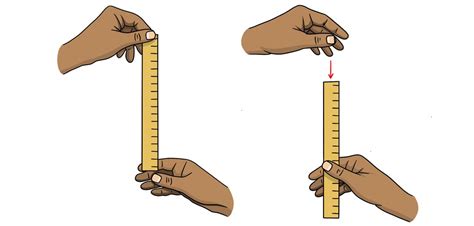 the ruler drop test|ruler drop test diagram.